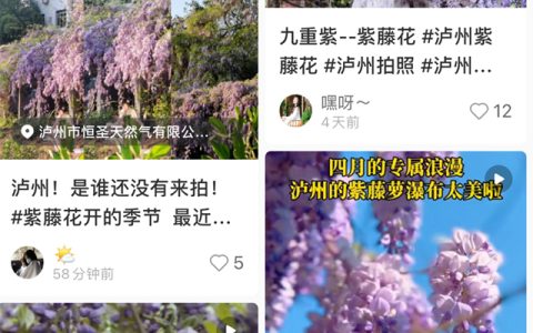 课本里的《紫藤萝瀑布》，在泸州的春天里具象化了→