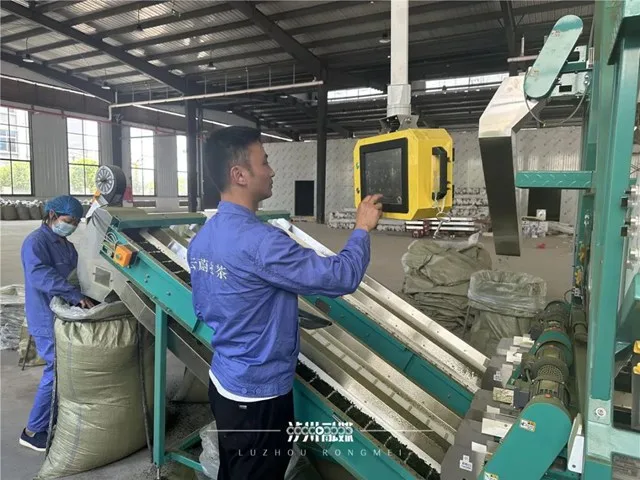 纳溪区大渡口镇:从茶叶到茶业,一片茶做出“新花样”(图2) 2.jpg