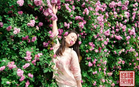 五一去哪儿玩？泸县这片蔷薇花惊艳曝光
