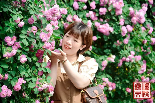 五一去哪儿玩?泸县这片蔷薇花惊艳曝光(图8) 640-(7).jpg