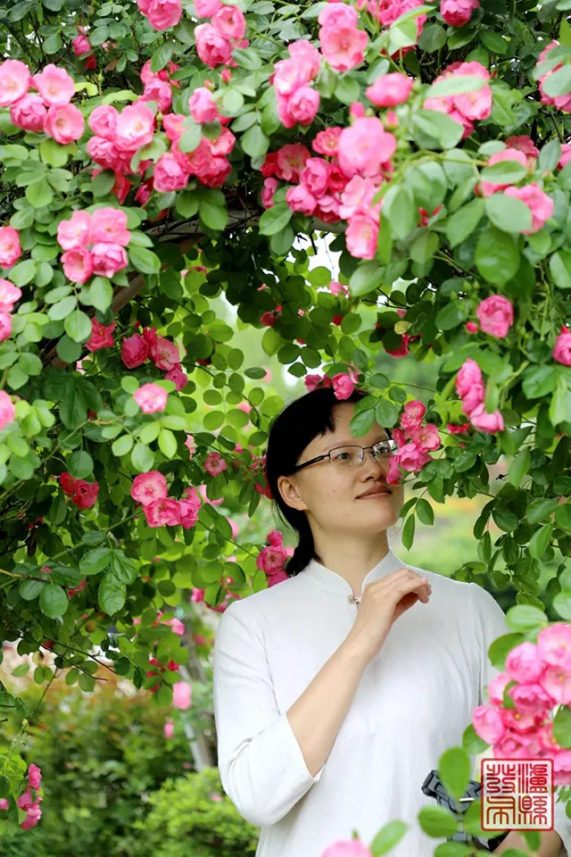 五一去哪儿玩?泸县这片蔷薇花惊艳曝光(图22) 640-(21).jpg