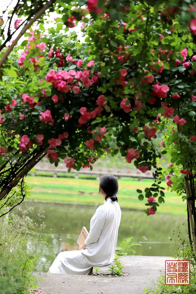 五一去哪儿玩?泸县这片蔷薇花惊艳曝光(图23) 640-(22).jpg