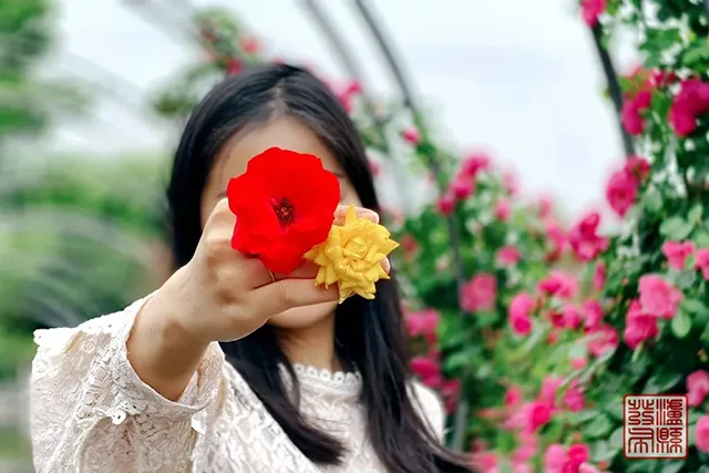 五一去哪儿玩?泸县这片蔷薇花惊艳曝光(图41) 640-(40).jpg