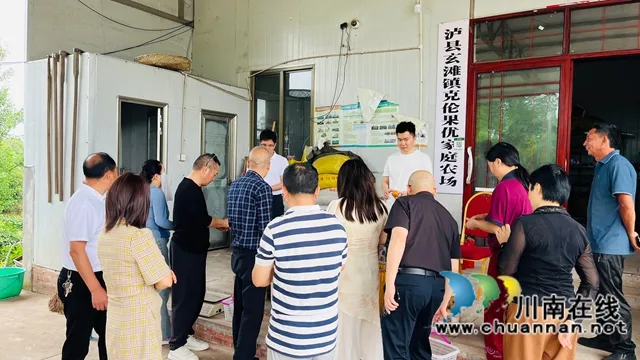 践行“四力”助推乡村振兴 | 泸州市新联会新媒体分会开展主题调研暨授牌仪式(图5) 6.jpg