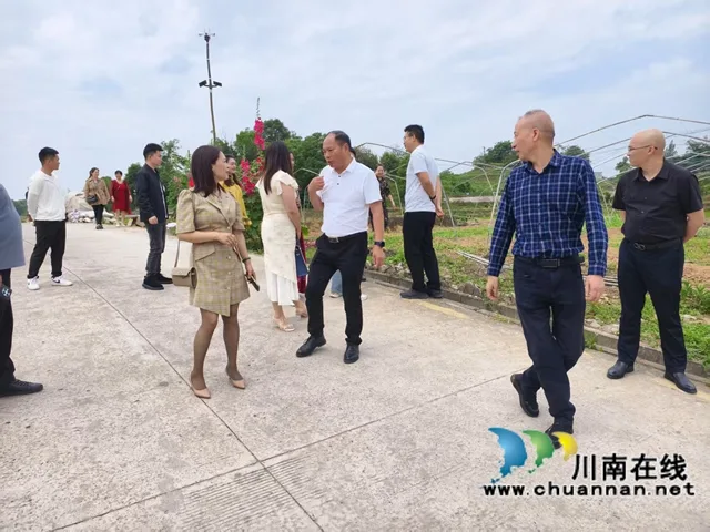 践行“四力”助推乡村振兴 | 泸州市新联会新媒体分会开展主题调研暨授牌仪式(图7) 8.jpg