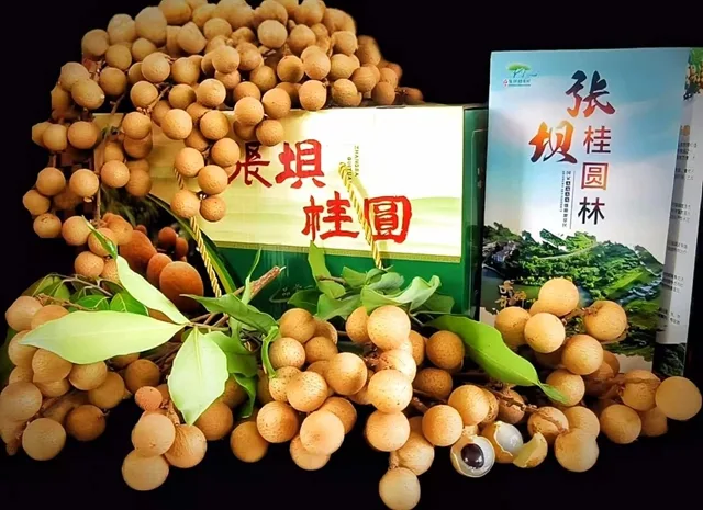 快去张坝桂圆林认养果树,实现“桂圆自由”!