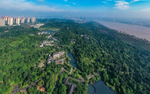 快去张坝桂圆林认养果树，实现“桂圆自由”！