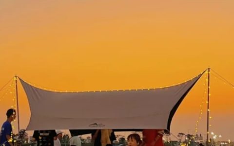 迷你情动音乐会报名开启，邀你心动一“夏”