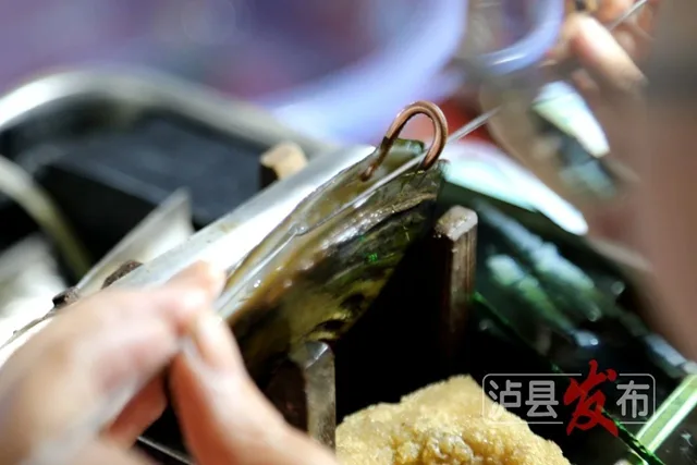 揭秘!泸县的珍珠是这样被“种”出来的(图6) 6.jpg