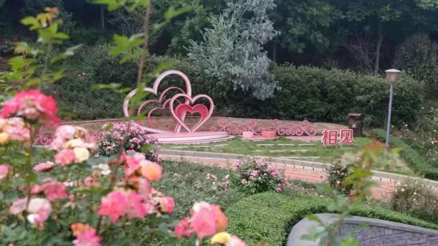 爱心+花海!来体验宜宾这个婚姻登记处的专属浪漫!