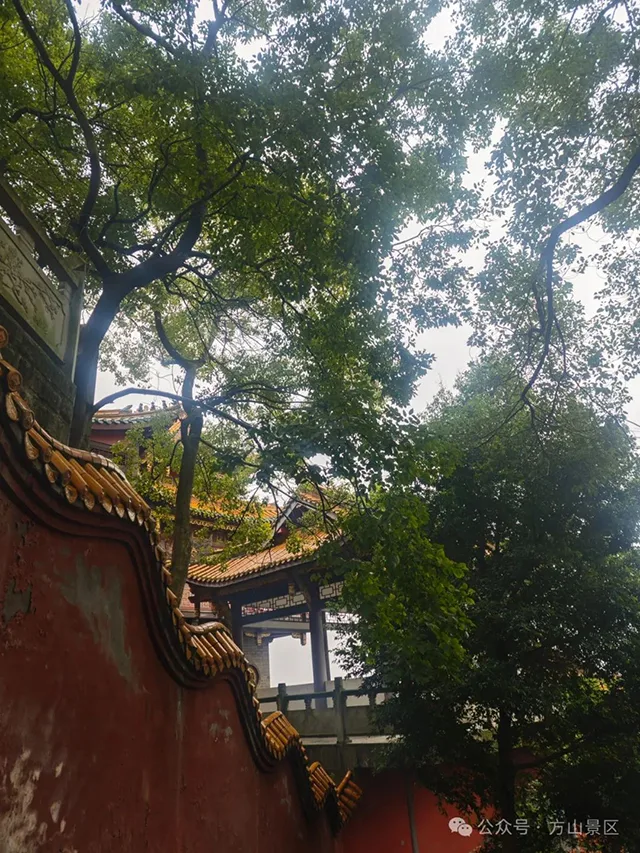 泸州方山景区明确:5月12日,这类人群免票!