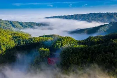 准考证别丢!兴文石海&蜀南竹海喊你免费撒欢啦!
