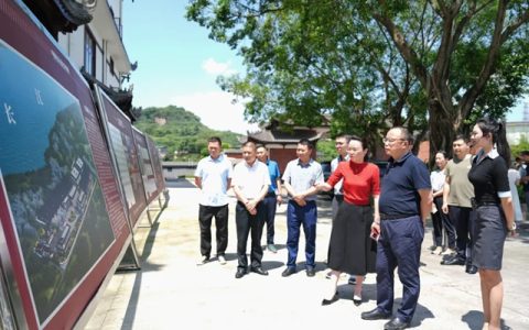 泸州市人民政府副市长任晓波莅临佳乐酒业调研