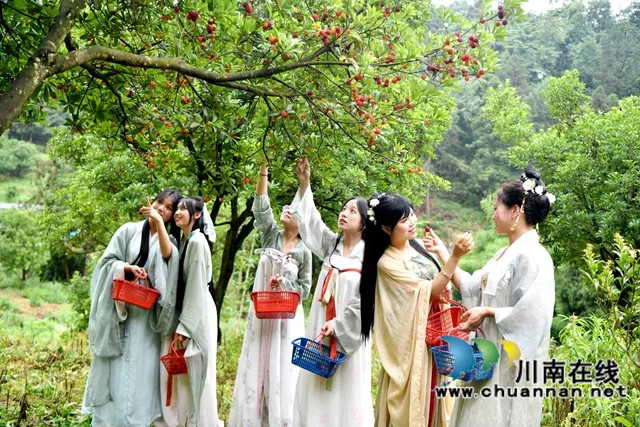 古蔺县茅溪镇:以“梅”聚力,打造川黔特色旅游和消费目的地(图7) 7.jpg