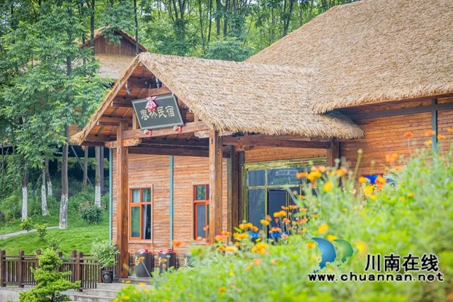 古蔺县茅溪镇:以“梅”聚力,打造川黔特色旅游和消费目的地(图15) 15.jpg