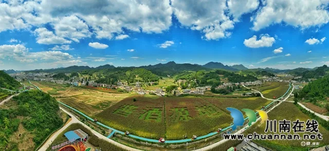 古蔺县茅溪镇:以“梅”聚力,打造川黔特色旅游和消费目的地(图16) 16.jpg
