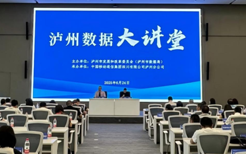 第三期“泸州数据大讲堂”举办，聚焦数字化转型实施路径