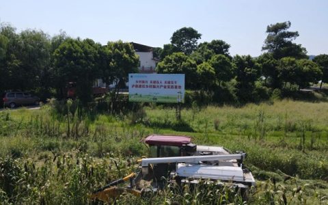 60亩高粱2小时收完！泸县建校乡村振兴学院丰收上演“科技大片”