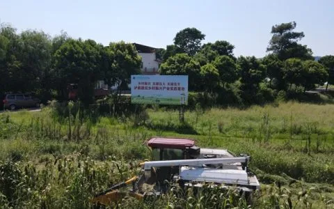 60亩高粱2小时收完！泸县建校乡村振兴学院丰收上演“科技大片”