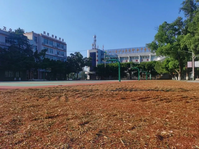 60亩高粱2小时收完!泸县建校乡村振兴学院丰收上演“科技大片”