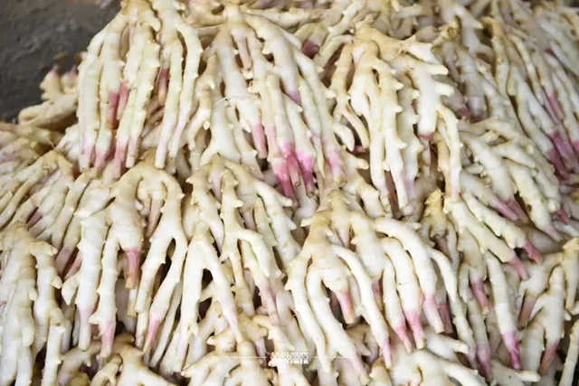 脆香嫩的牛滩生姜: 一口“嚼透”泸州人的舌尖乡愁