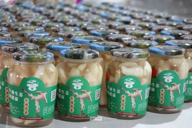 脆香嫩的牛滩生姜： 一口“嚼透”泸州人的舌尖乡愁