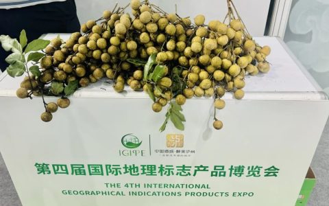 泸州：农产品在地标博览会“热气出笼”
