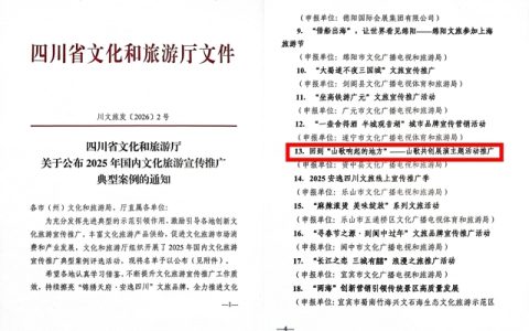 全省标杆！内江这个IP“唱响”了