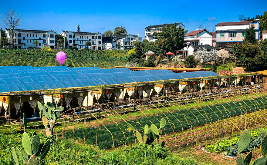 农耕时代·蔬奢农场,重新定义泸州周末轻奢生活