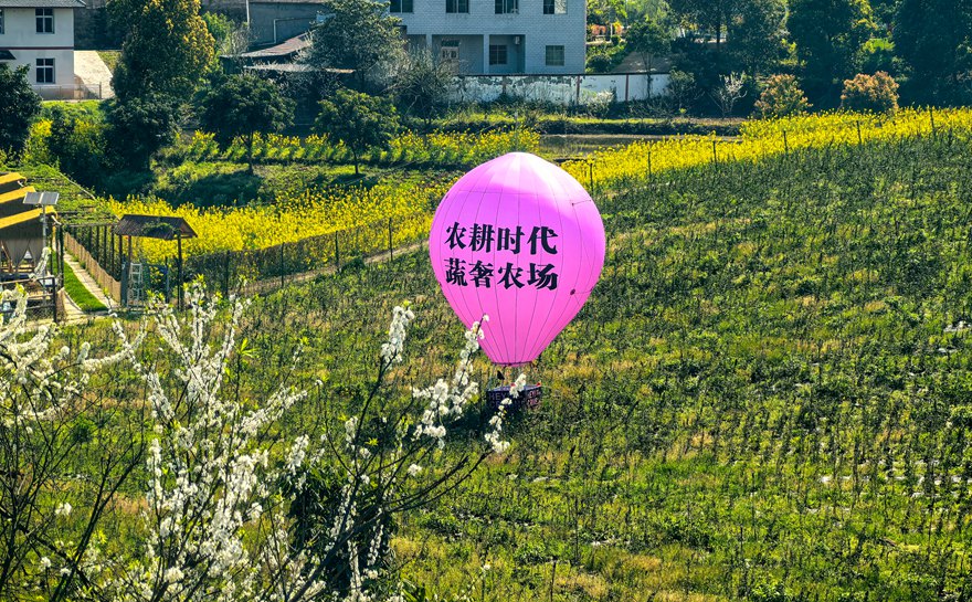 农耕时代·蔬奢农场,重新定义泸州周末轻奢生活