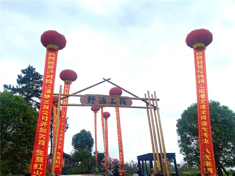 四季花海+亲子露营!泸州1500万打造一站式度假地