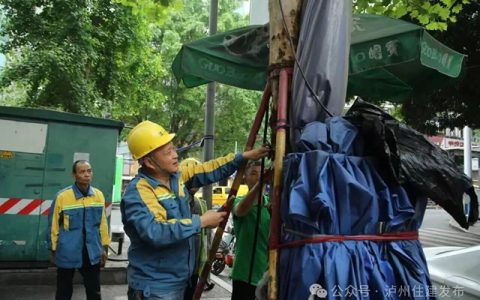 铁钉入木、铁丝勒树……泸州发起“拔钉解绑”护树行动