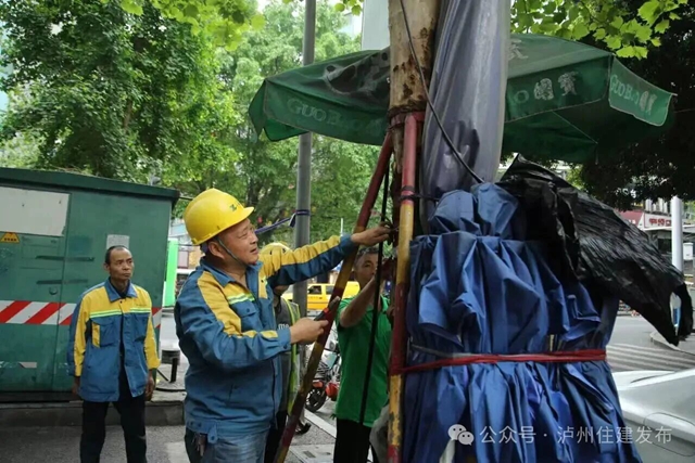 铁钉入木、铁丝勒树……泸州发起“拔钉解绑”护树行动(图1) 树1.jpg