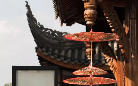 泸宜一日漫游｜追非遗伞韵，赴万亩竹海，解锁川南治愈时光