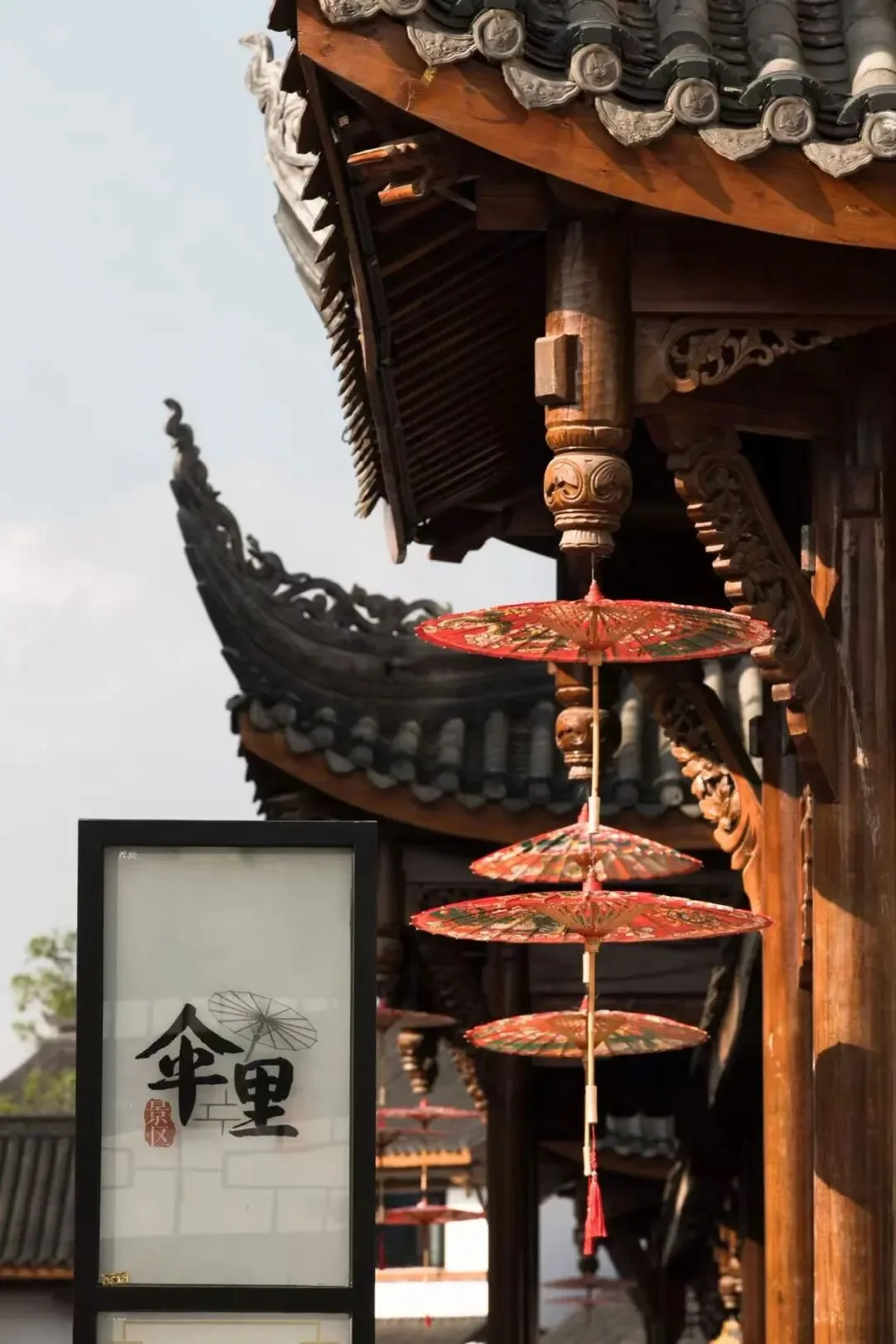 泸宜一日漫游|追非遗伞韵,赴万亩竹海,解锁川南治愈时光