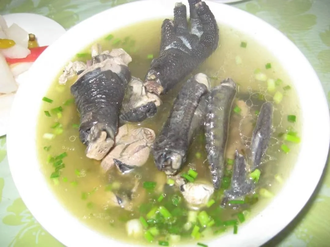 泸宜一日漫游｜追非遗伞韵，赴万亩竹海，解锁川南治愈时光