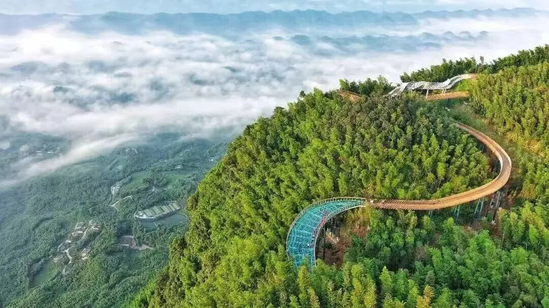 泸宜一日漫游｜追非遗伞韵，赴万亩竹海，解锁川南治愈时光