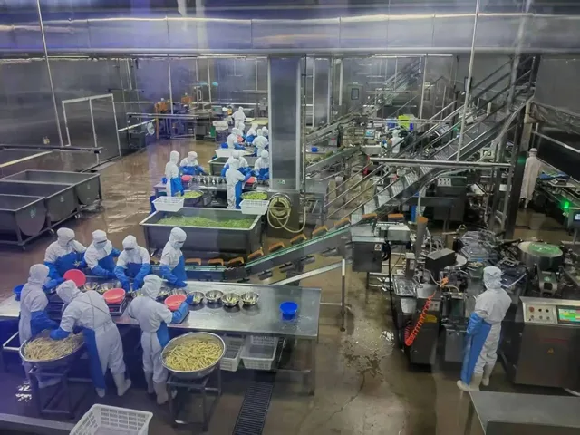 小笋尖撬动大产业 泸州竹笋产业激活林下经济与预制菜双赛道