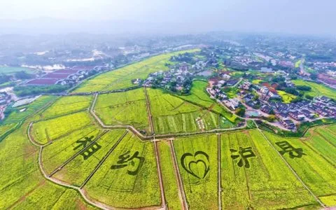水清业兴村美民富，泸县这样作答“美丽乡村”新考卷