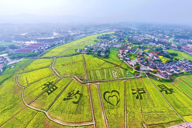 水清业兴村美民富,泸县这样作答“美丽乡村”新考卷(图1) 泸县1.jpg
