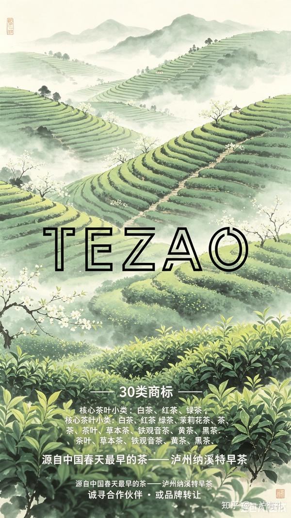 纳溪特早茶 寻志同道合者・共筑 TEZAO 特早品牌