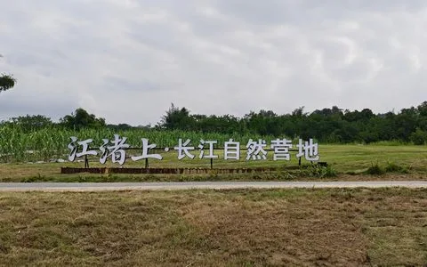 赴长江之约！泸州江渚上自然营地，藏在崖岸山林间的治愈秘境