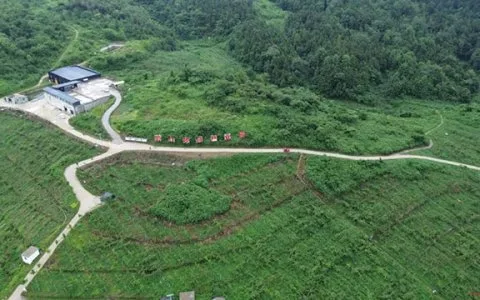 古蔺猕猴桃首次拿到国际市场“入场券”
