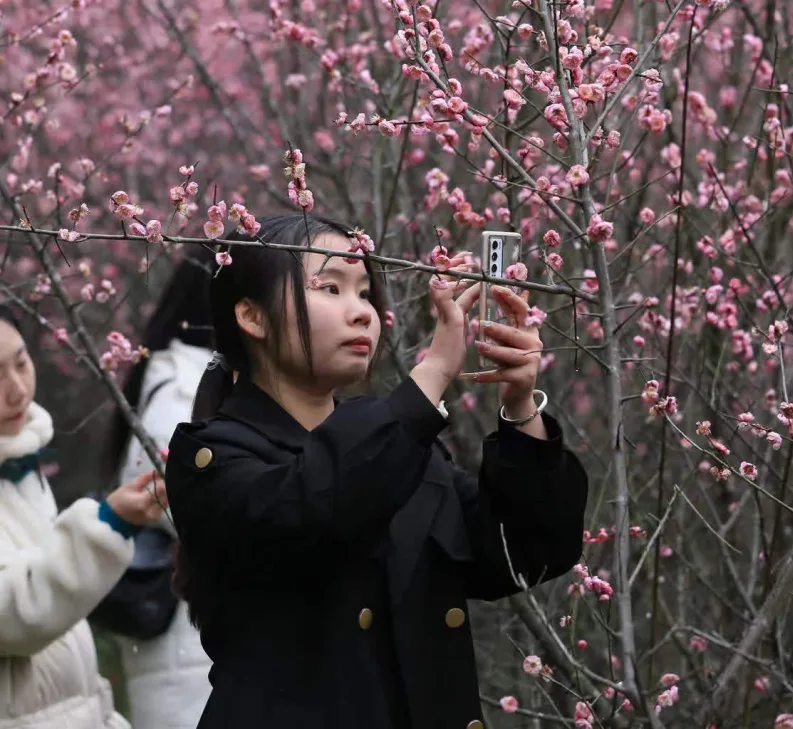 2023泸州纳溪的花季来了 这份打卡攻略快收好