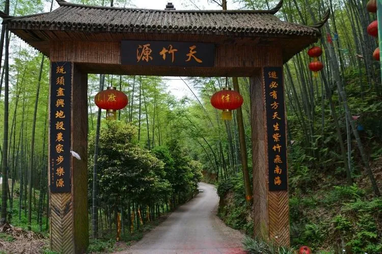 大旺竹海里的“宝藏”:安静沉醉的纳溪风景,有竹亦有酒