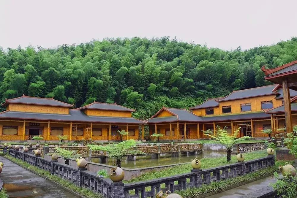大旺竹海里的“宝藏”:安静沉醉的纳溪风景,有竹亦有酒