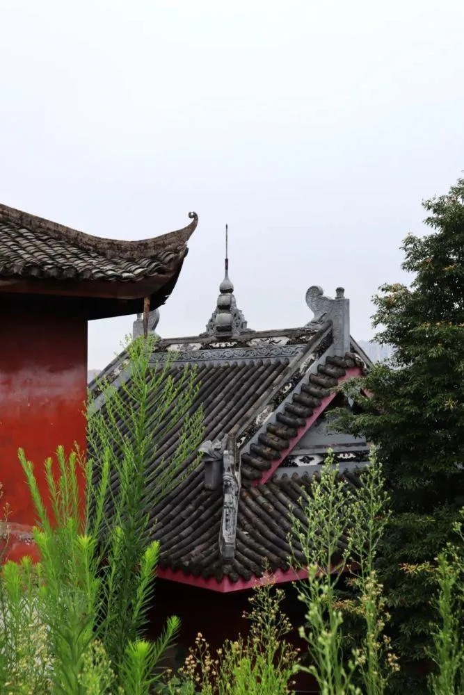 泸州也有一座建在悬崖上的“百年古寺”,你知道在哪里吗?