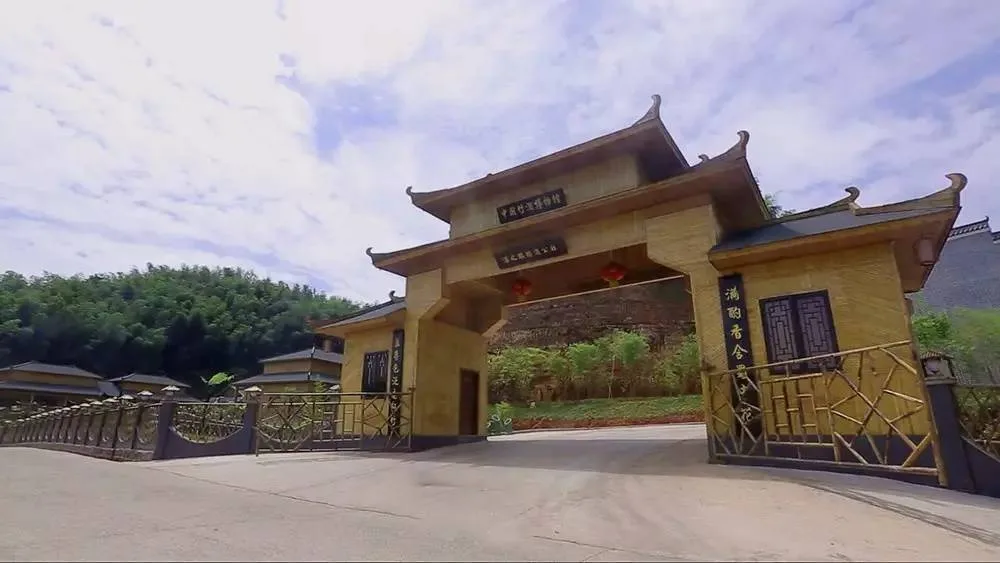 大旺竹海里的“宝藏”:安静沉醉的纳溪风景,有竹亦有酒