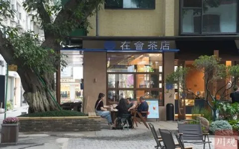 进退之间，宜宾百年古树下飘出咖啡香