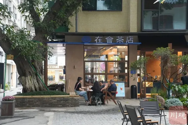进退之间,宜宾百年古树下飘出咖啡香(图1) 1.jpg